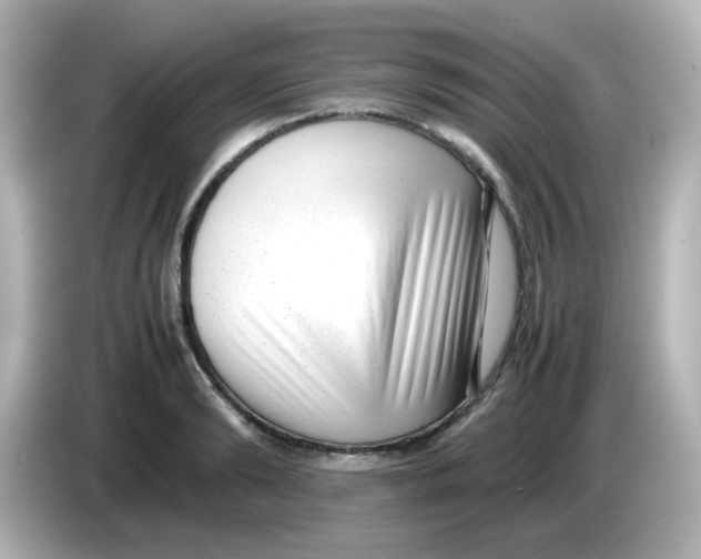 X0000085780894200704091410