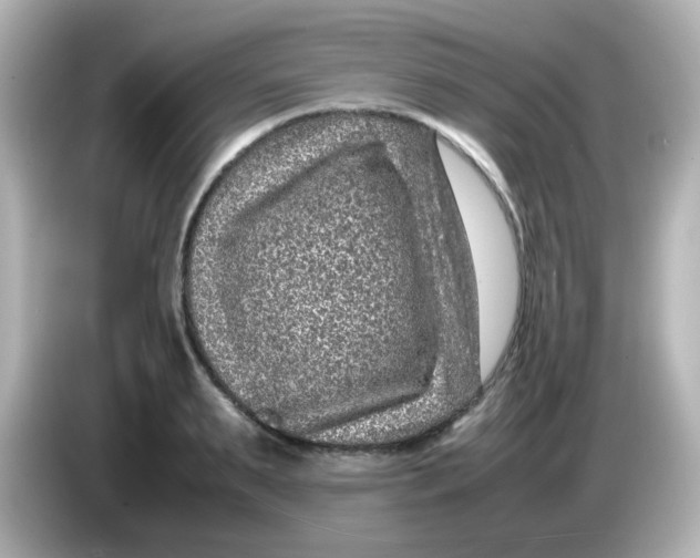 X0000085780895200704091410