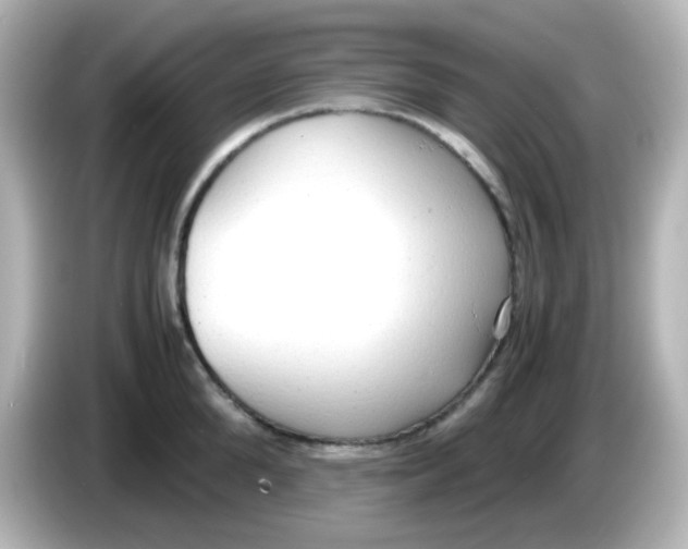 X0000085780904200704091409