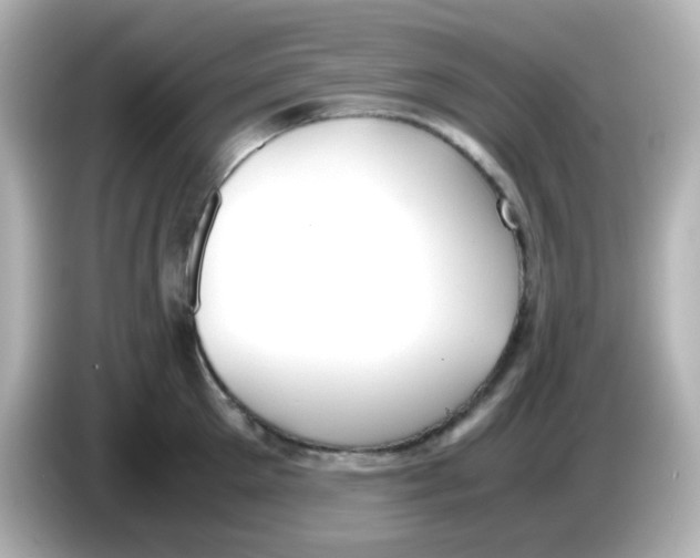 X0000085780905200704091409