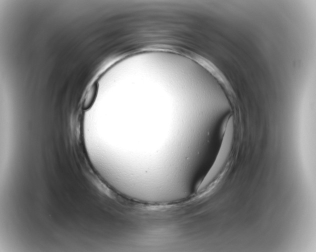 X0000085780908200704091409