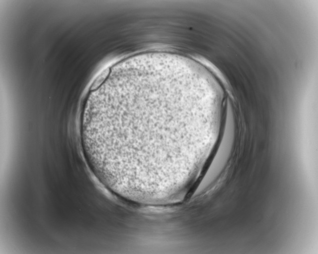 X0000085780910200704091409