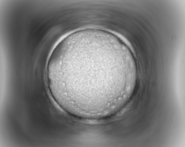 X0000085780911200704091409