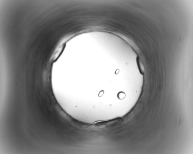 X0000085780912200704091409