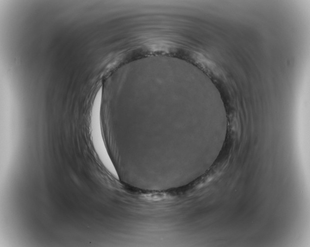 X0000085780916200704091409