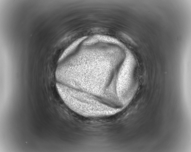 X0000085780917200704091409