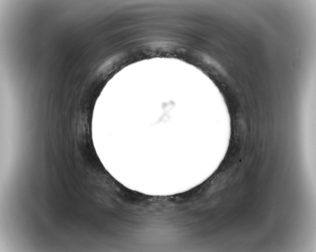 X0000085780918200704091409