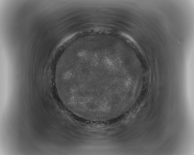 X0000085780919200704091409