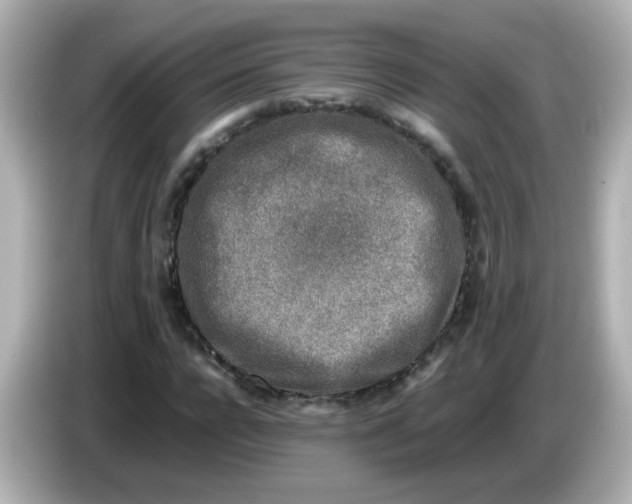 X0000085780920200704091409