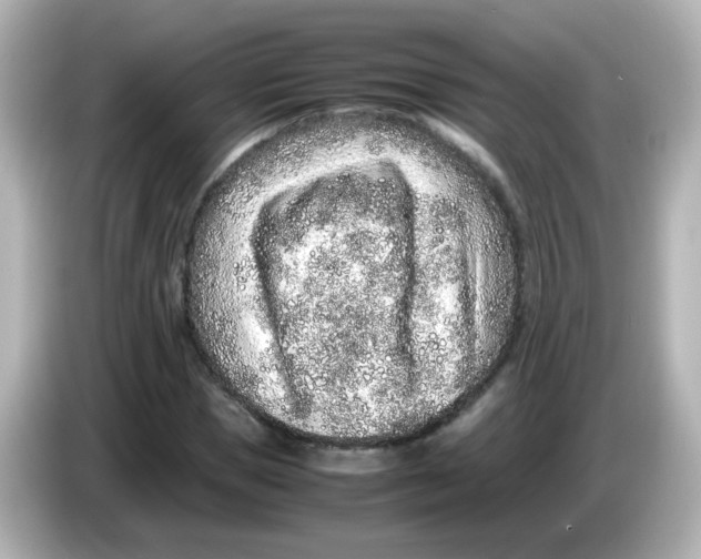 X0000085780921200704091409