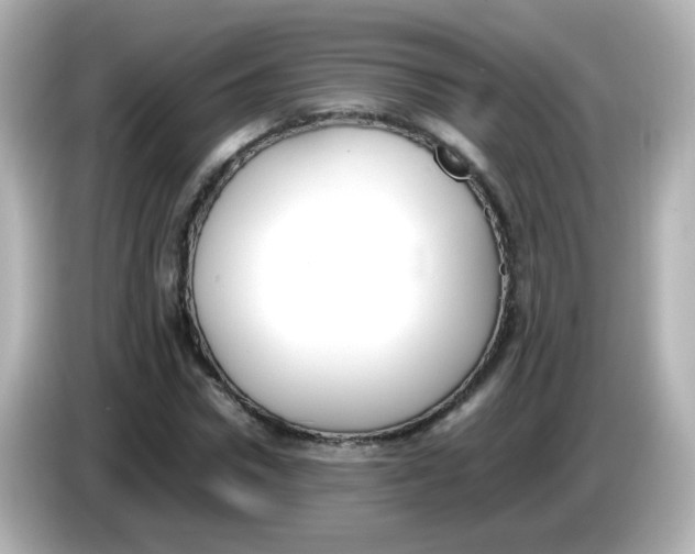 X0000085780922200704091409