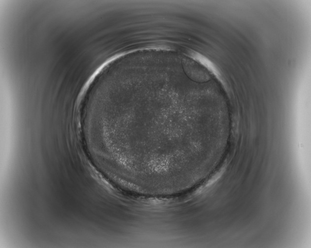 X0000085780923200704091409