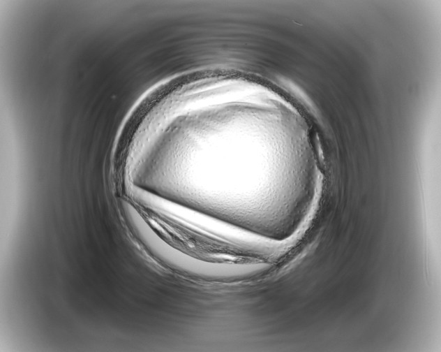 X0000085780924200704091409