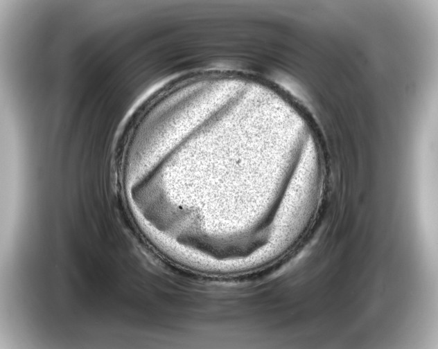 X0000085780925200704091409