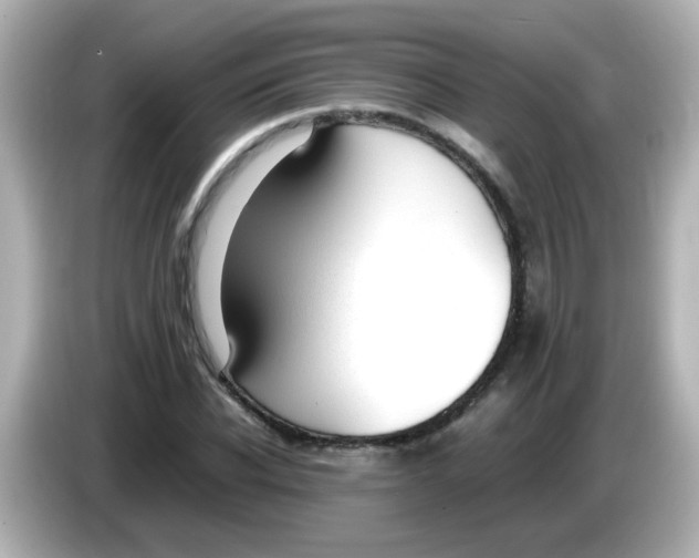 X0000085780926200704091409