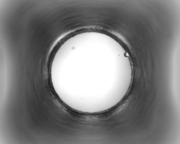 X0000085780927200704091409