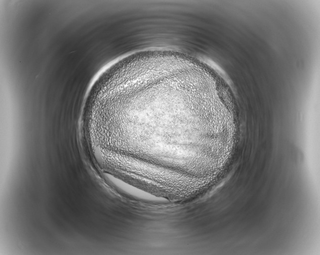 X0000085780928200704091409