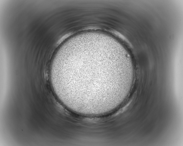 X0000085780929200704091409