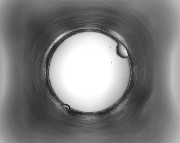 X0000085780931200704091409