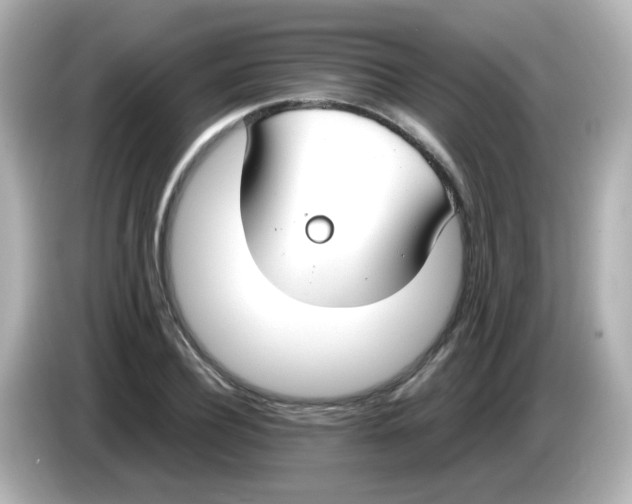 X0000085780932200704091409