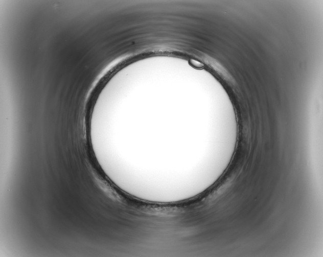 X0000085780934200704091409