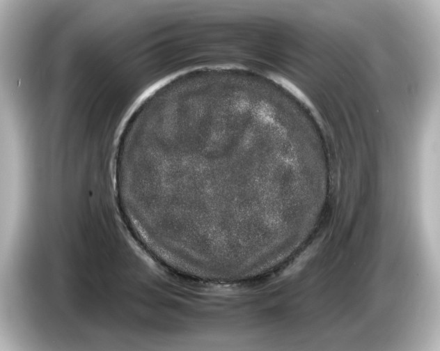 X0000085780935200704091409