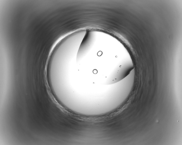 X0000085780936200704091409