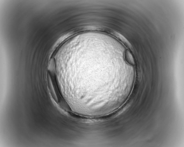 X0000085780938200704091409