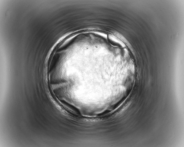 X0000085780939200704091409