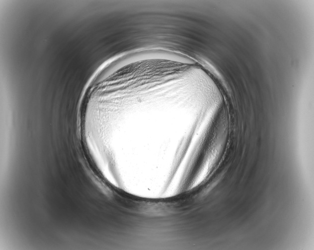 X0000085780940200704091409