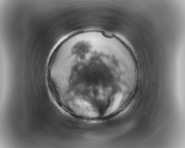 X0000085780941200704091409