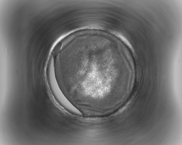 X0000085780944200704091409