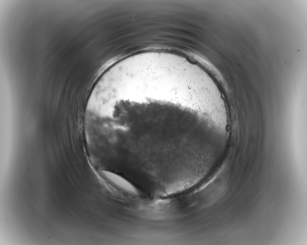 X0000085780945200704091409