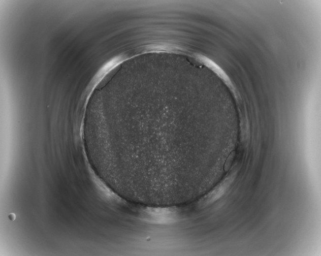 X0000085780946200704091409