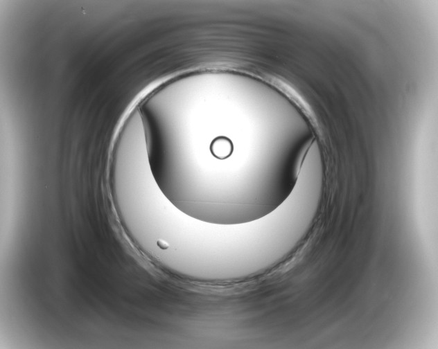 X0000085780948200704091409