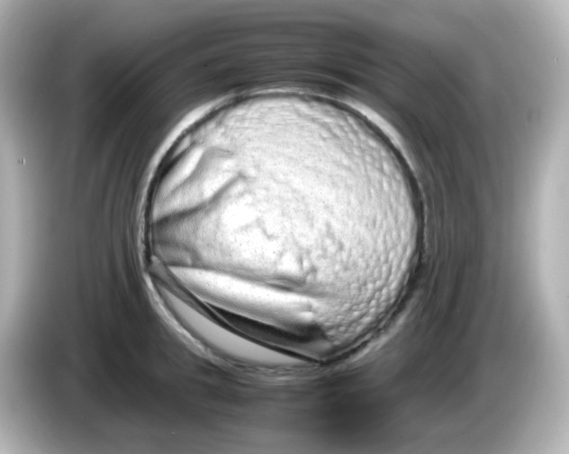 X0000085780949200704091409