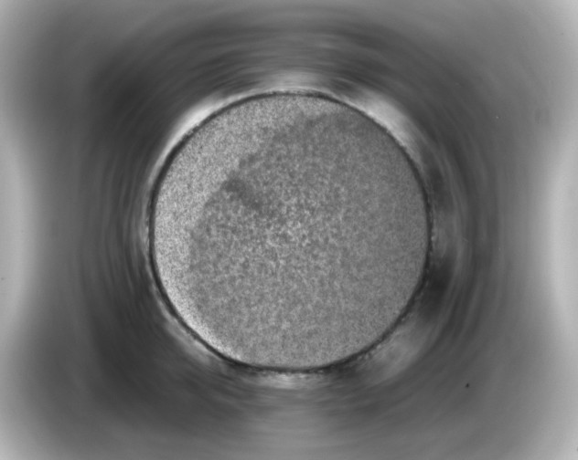 X0000085780950200704091409