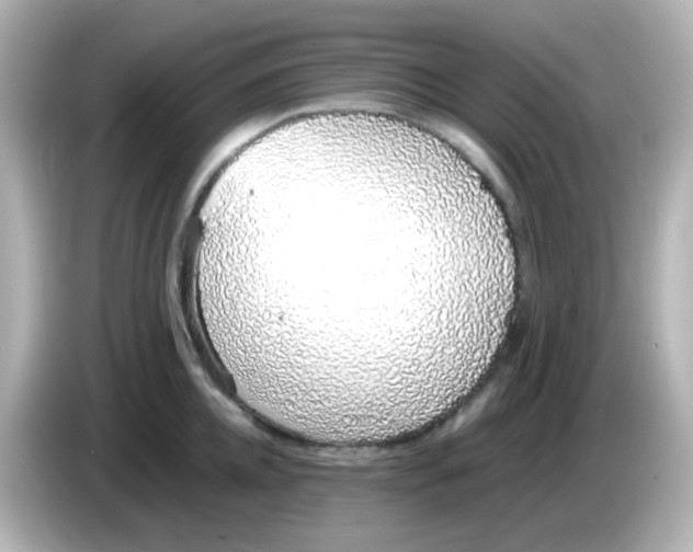 X0000085780952200704091409