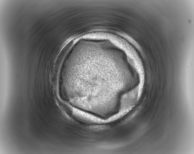 X0000085780953200704091409