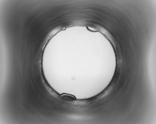 X0000085780954200704091409