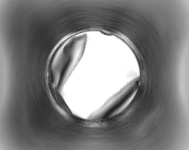 X0000085780955200704091409