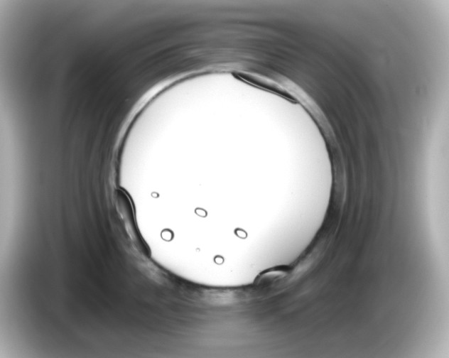 X0000085780956200704091409