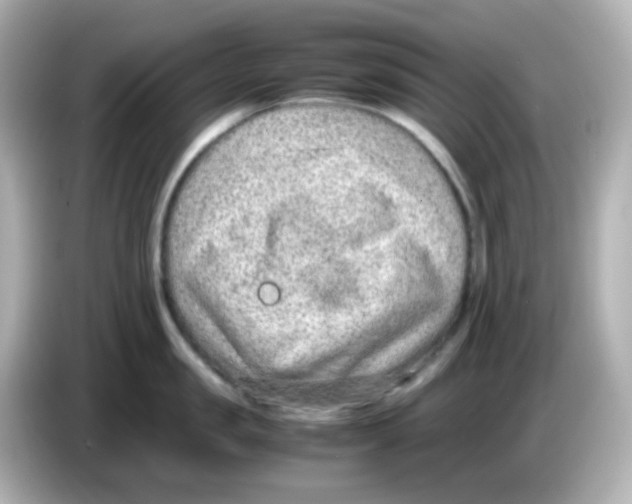 X0000085780957200704091409