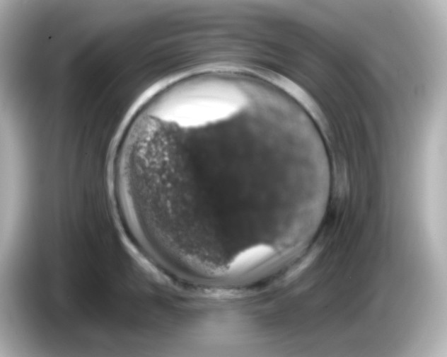 X0000085780958200704091409