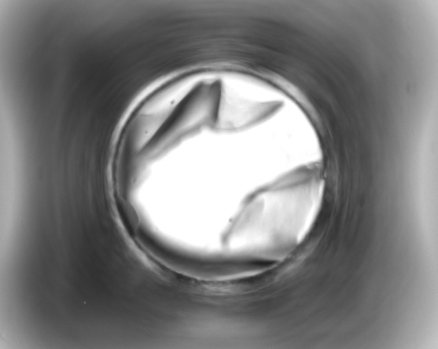 X0000085780959200704091409