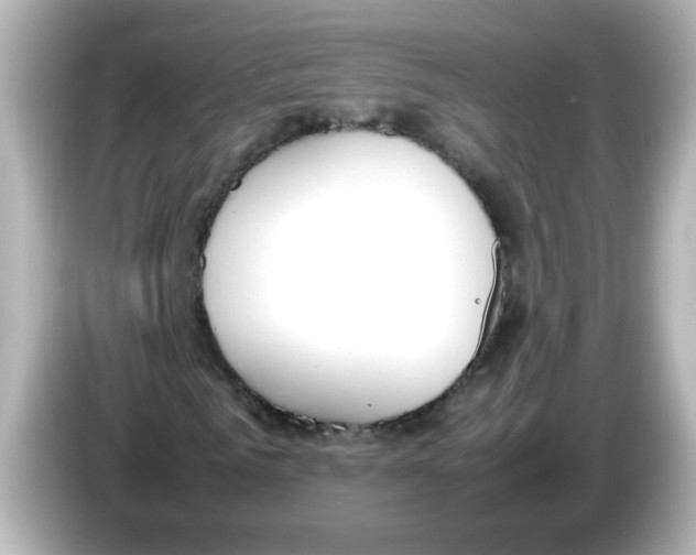 X0000085780961200704091409