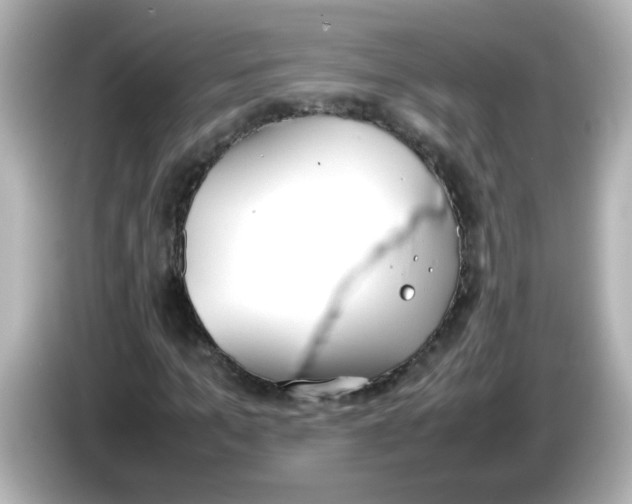 X0000085780965200704091409