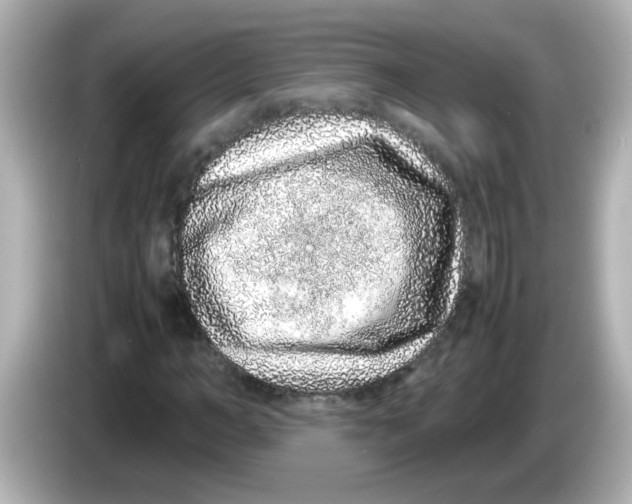 X0000085780966200704091409