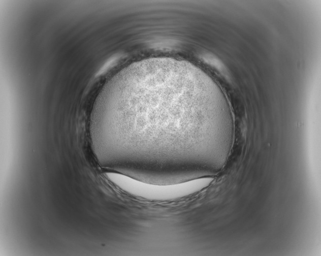 X0000085780968200704091409