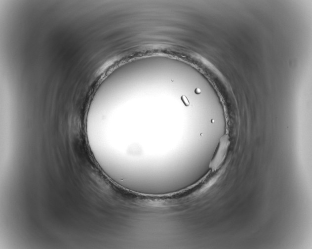 X0000085780969200704091409